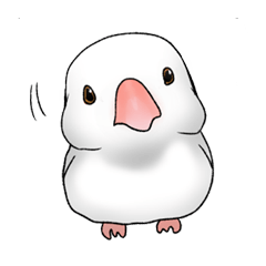 Java sparrow which uses dialect of Osaka