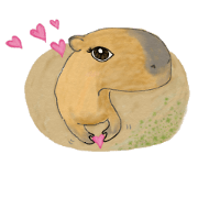 Sweet Capybara Sweet Capybara