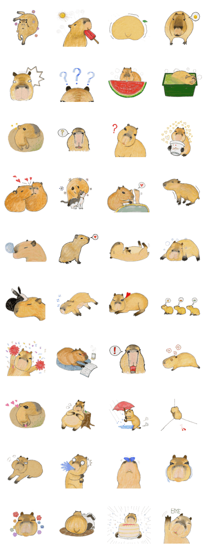 Sweet Capybara Sweet Capybara