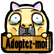 O ji-sang(French) O ji-sang(French)