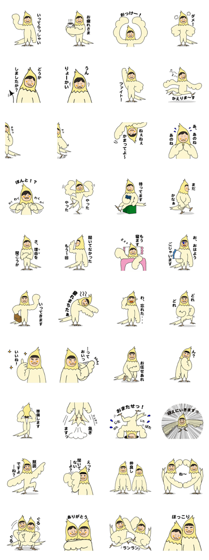 All you need is Cockatiel. All you need is Cockatiel.