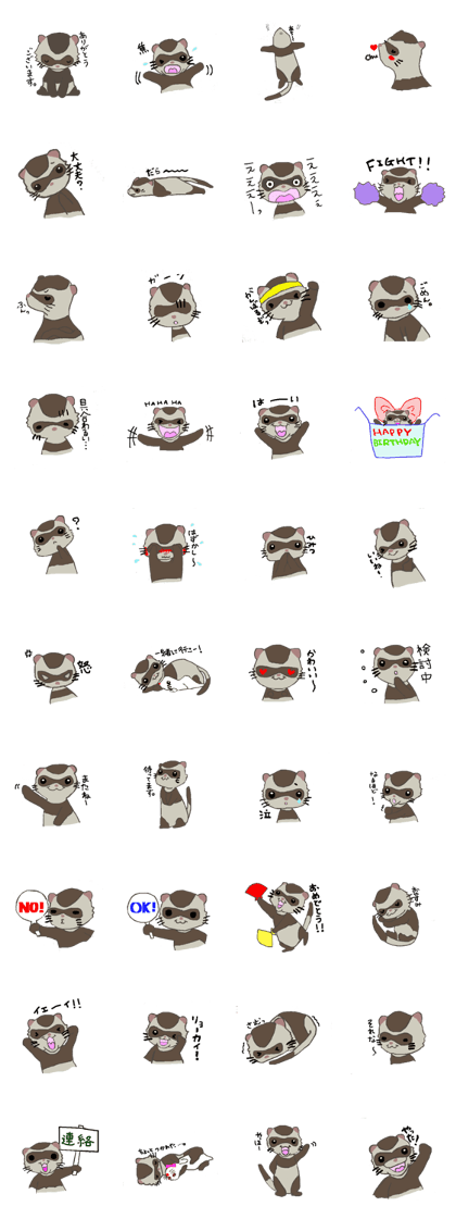 Ferret cu-chan Ferret cu-chan