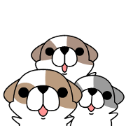 Shih Tzu's2 Shih Tzu's2