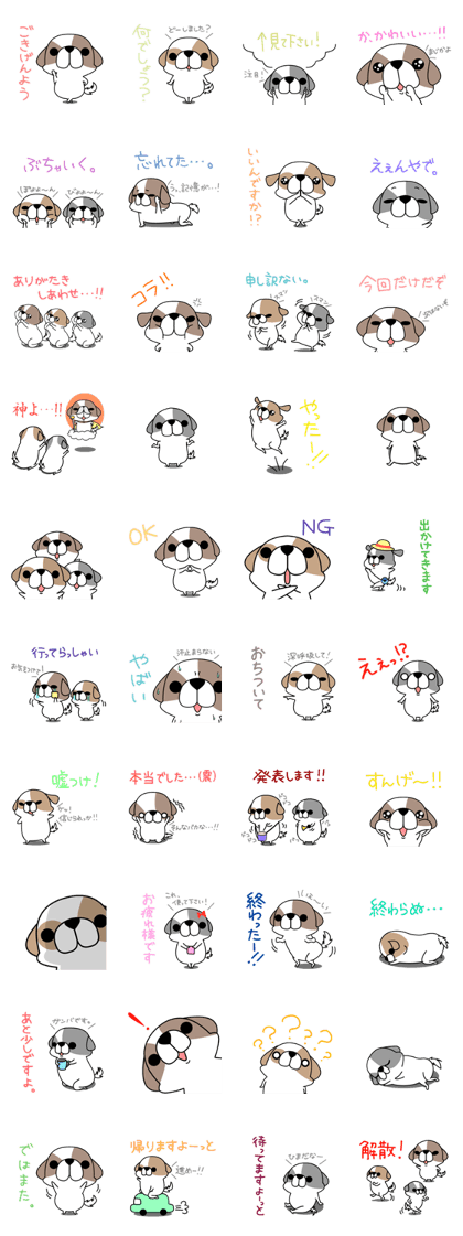 Shih Tzu's2 Shih Tzu's2