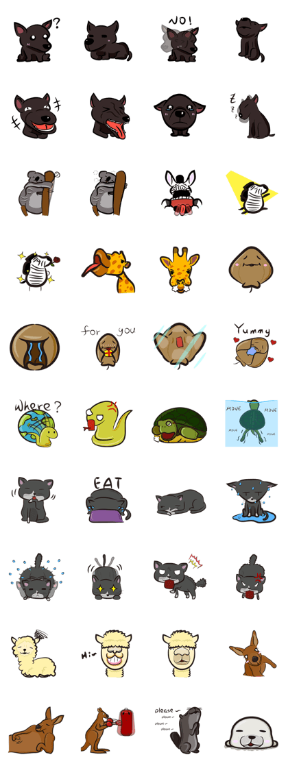 11 kinds of animals 11 kinds of animals