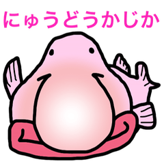 BlobFish!!