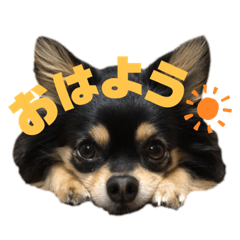 miyuu_20200509113330