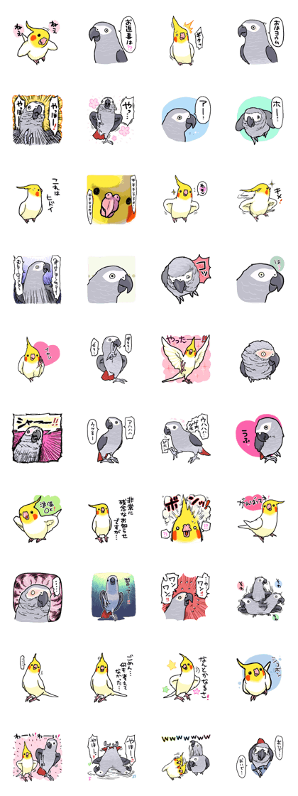 Cockatiel and Grey Parrot Cockatiel and Grey Parrot