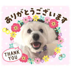 kazue_20200509134856