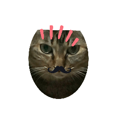 akiko_20200509114950