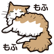 MOF MOF cat MOF MOF cat