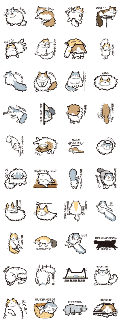 MOF MOF cat MOF MOF cat