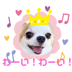 Cherry_20200508222004