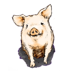 pig's life sticker