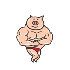 Pig Stickers 2