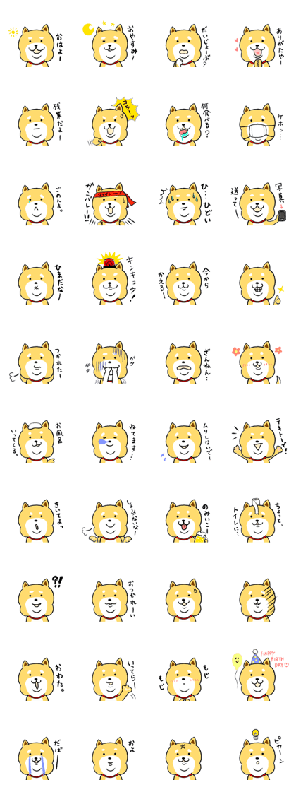 Kawaii Shiba Kawaii Shiba