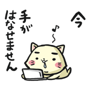 Cat MAYUGE3 Cat MAYUGE3