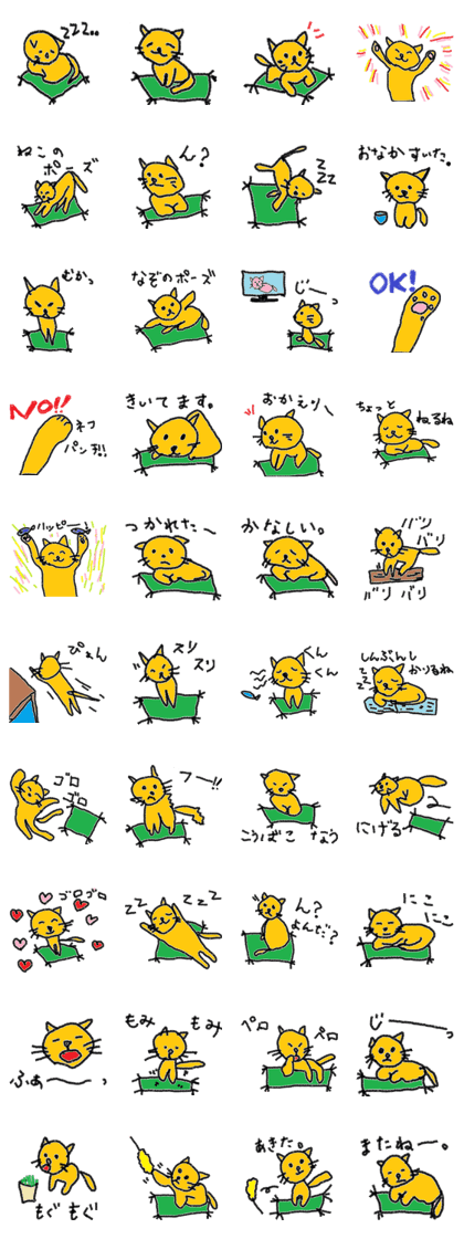 Orange cat's daily life