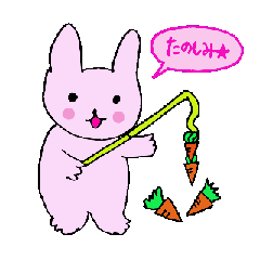 Rabbits diary