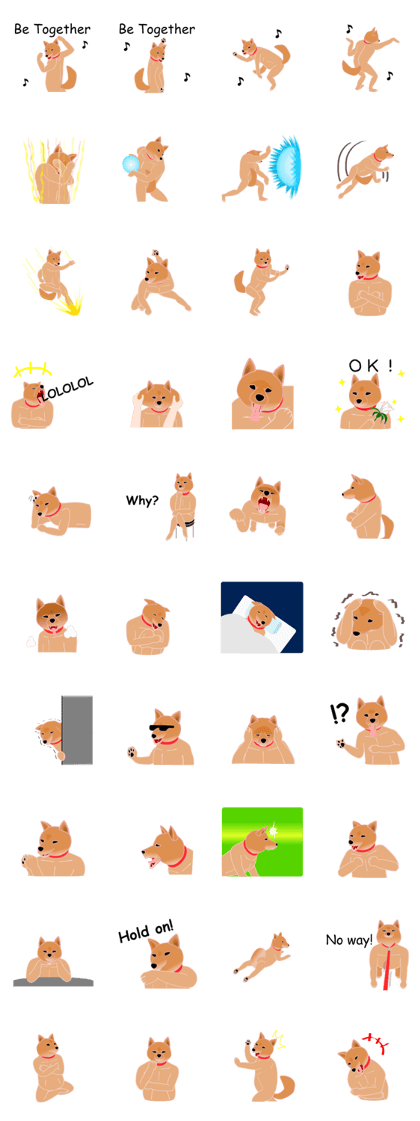 Dancing Dog SHIBA Dancing Dog SHIBA