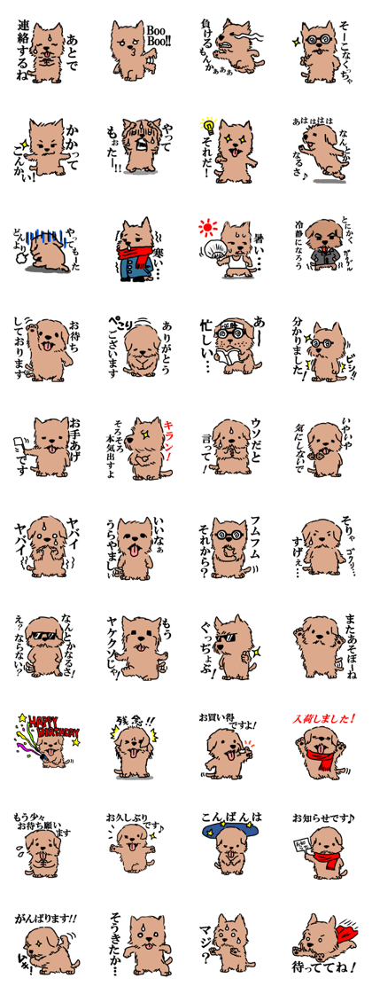 Norwich & Norfolk Terriers