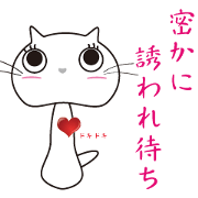 a girl training cat a girl training cat