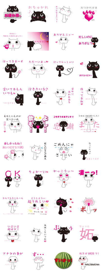 a girl training cat a girl training cat