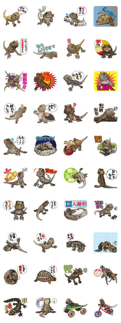 Pogona Gekko Turtle Pogona Gekko Turtle