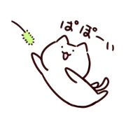 Paropiro cat Paropiro cat