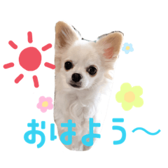 nozomi_20200509144612