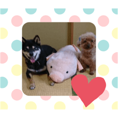 saori_20200509171813