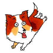 Come on Sheltie. Come on Sheltie.