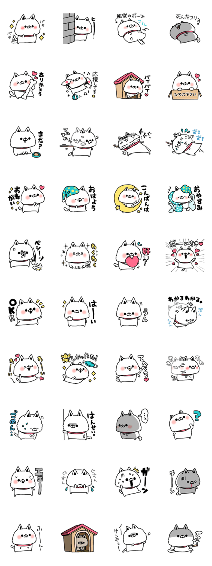 Dog of Poti Dog of Poti