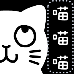 Cat Talk Message Stickers