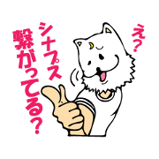 Ordinary days of white wolf Kimiyasu. Ordinary days of white wolf Kimiyasu.