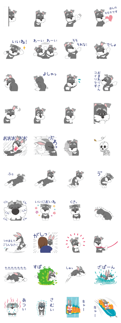 Tuna of Schnauzer 4 Tuna of Schnauzer 4