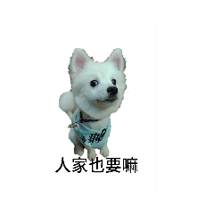 笨悠的呆萌日常