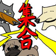 Funny dog Wandasuchin2 Funny dog Wandasuchin2