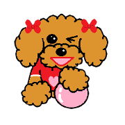 I Love toy poodle