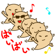 slugs cats slugs cats