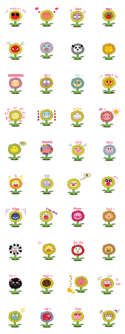 SunFlowerSun SunFlowerSun