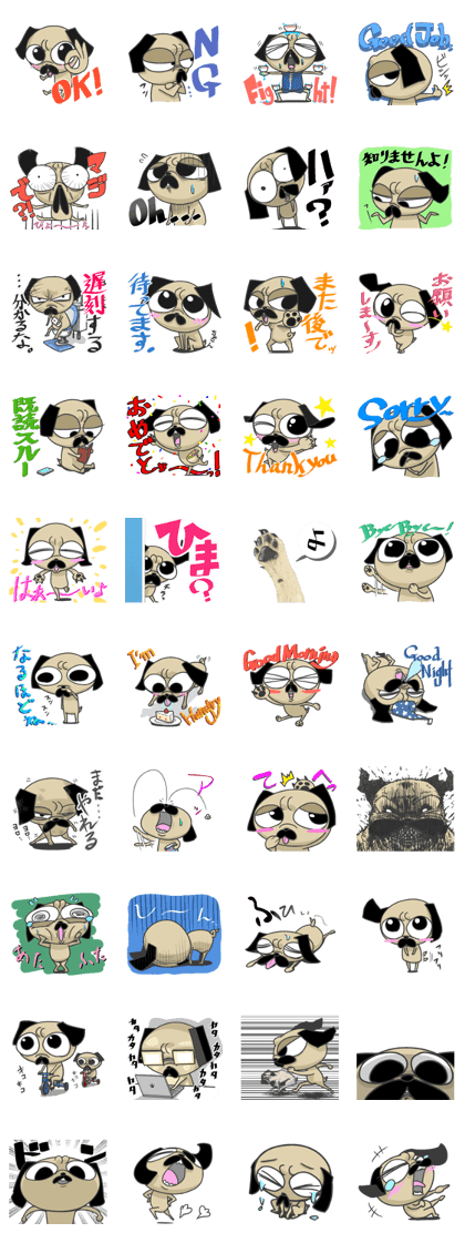 Pug dog ! Coron Pug dog ! Coron