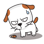 cute Khao Niaw dogs cute Khao Niaw dogs