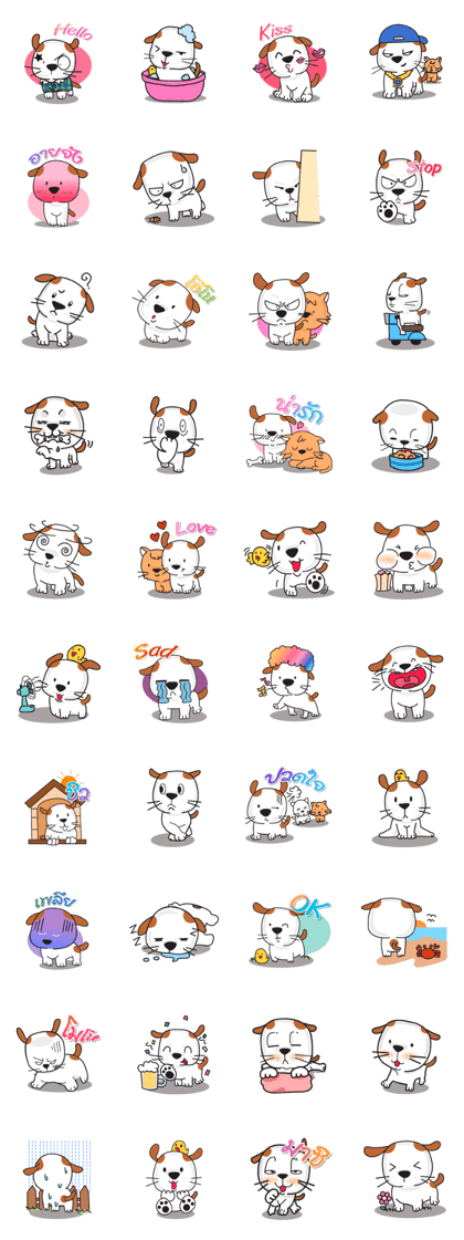 cute Khao Niaw dogs cute Khao Niaw dogs