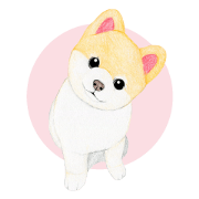 Pomeranian Sticker 2
