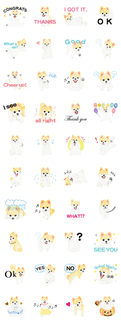 Pomeranian Sticker 2
