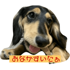 rina_20200509230558