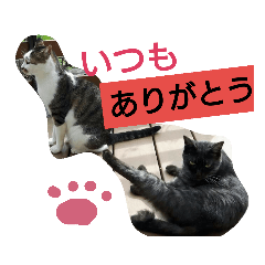 satomin_20200509225508
