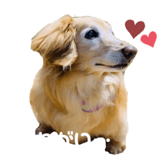 Leon Sticker Dog