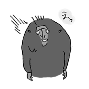 Celebes Crested Macaque Celebes Crested Macaque